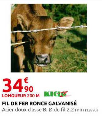 Fil De Fer Ronce Galvanisé Kido