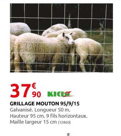 grillage mouton 95-9-15