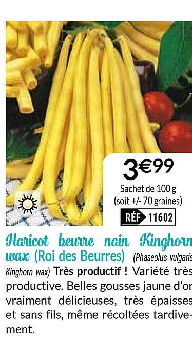 haricot beurre nain kinghorn wax (roi des beurres)