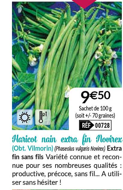 haricot nain extra fin novirex (obt. vilmorin)