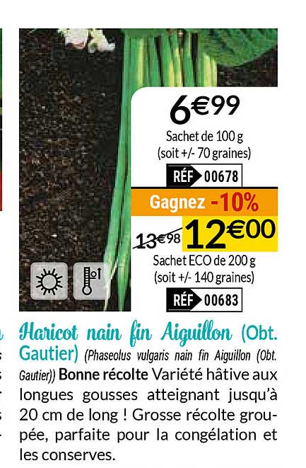 haricot nain fin aiguillon (obt. gautier)