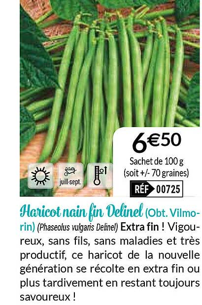 haricot nain fin delinel (obt. vilmorin)