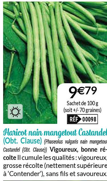 haricot nain mangetout castandel (obt. clause)