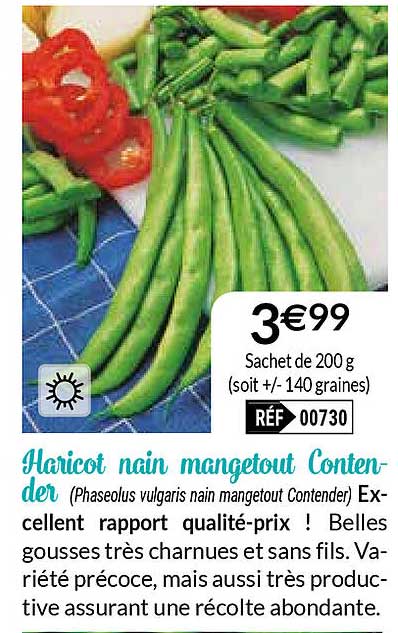 haricot nain mangetout contender