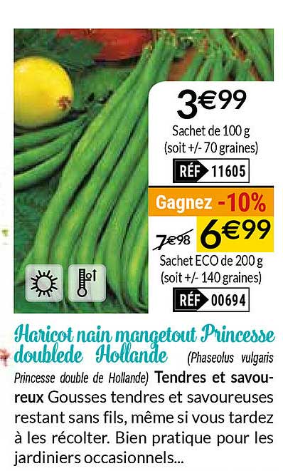 haricot nain mangetout princesse doublede hollande