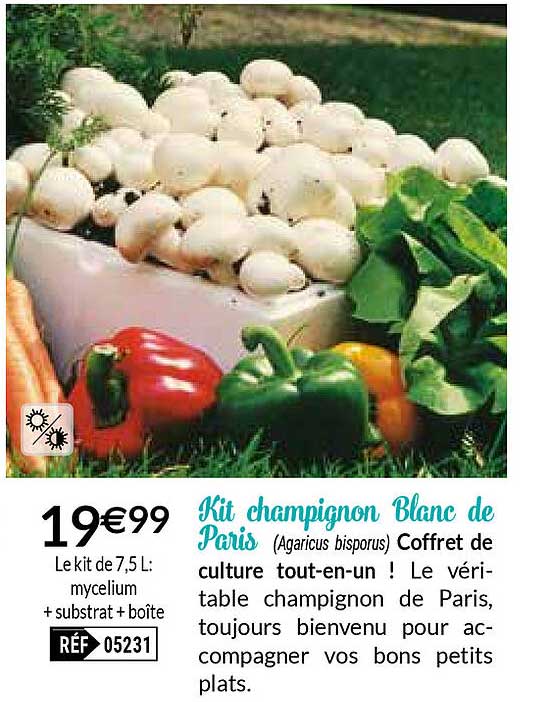 Kit Champignon Blanc De Paris