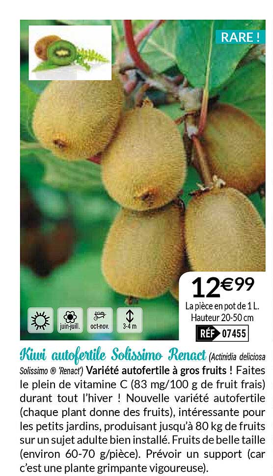 kiwi autofertile solissimoi renact