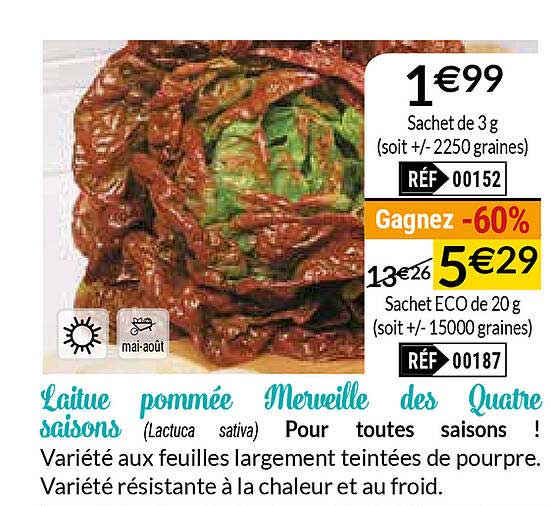 laitue pommée merveille des quatre saisons