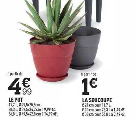 le pot, la soucoupe