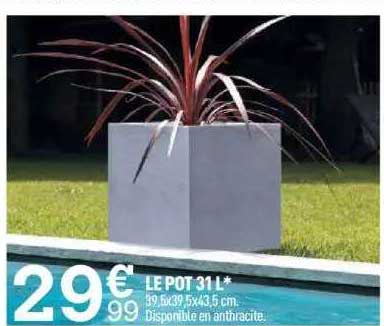 Le Pot 31l