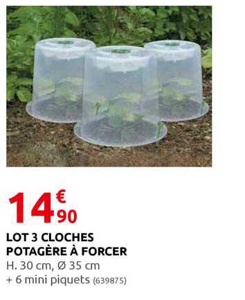 lot 3 cloches potagère à forcer