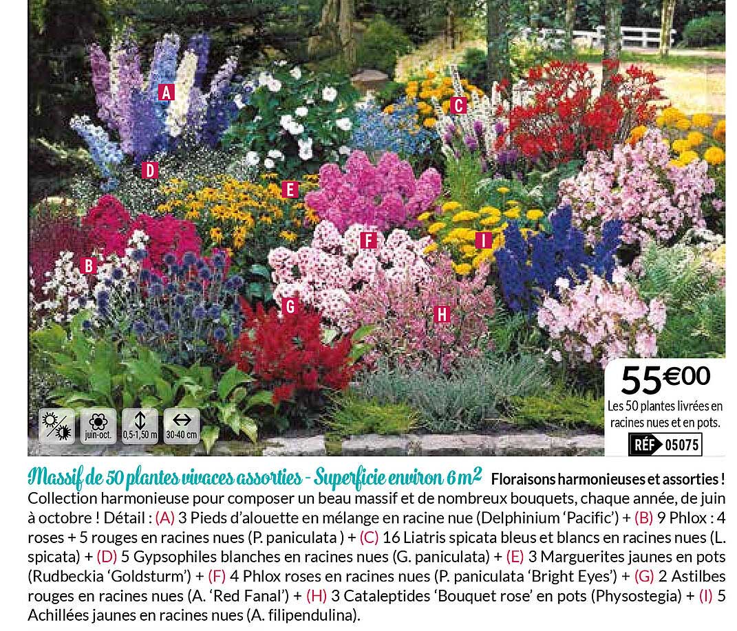 Massif De 50 Plantes Vivaces Assorties - Superficie Environ 6m2