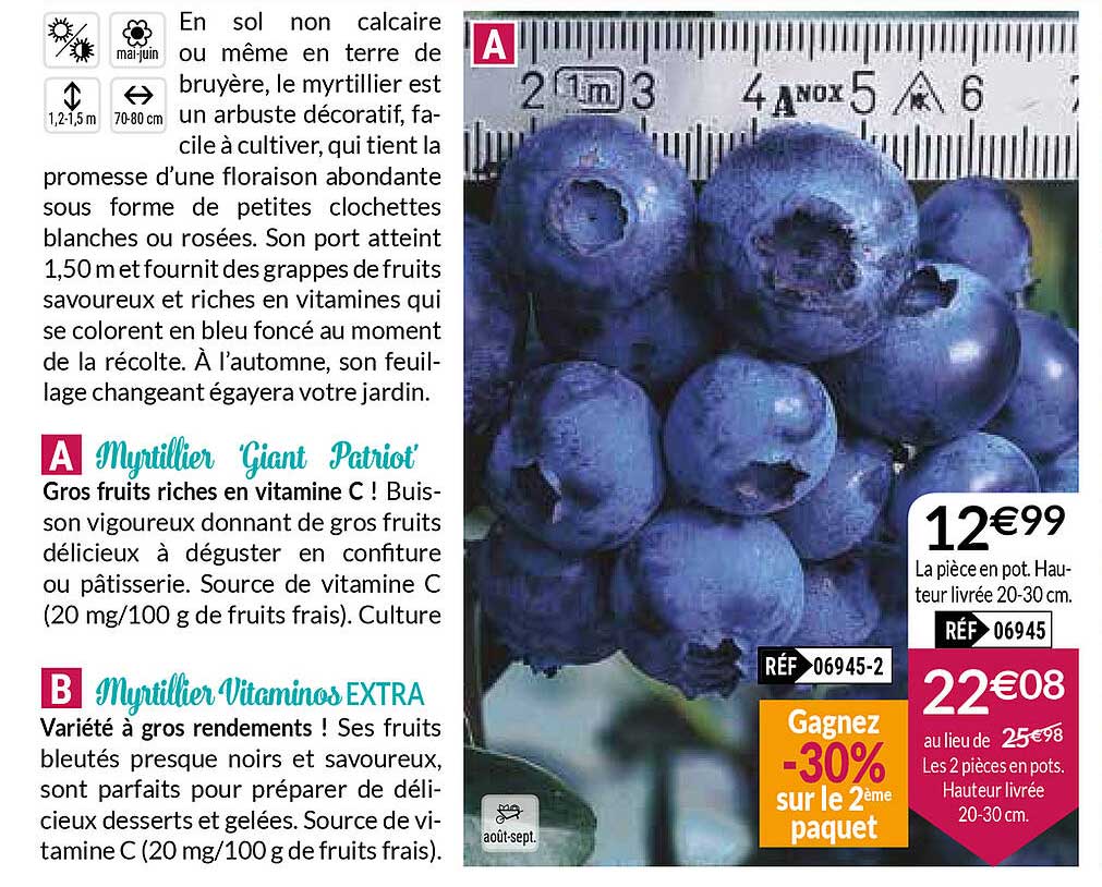 myrtillier giant partiot myrtillier vitaminos extra