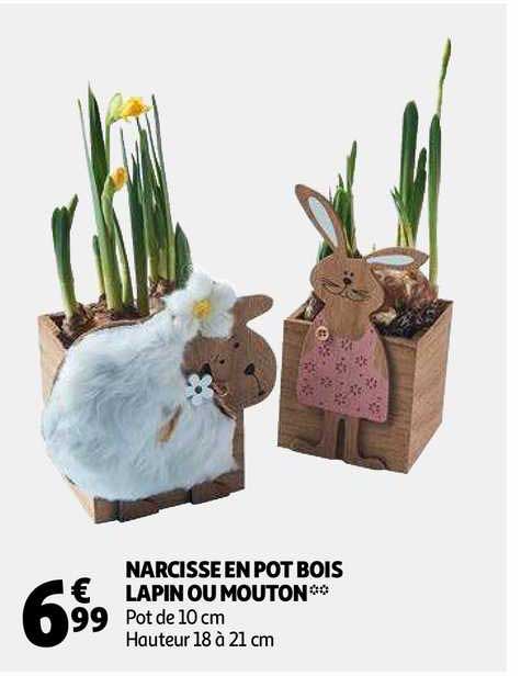 narcisse en pot bois lapin ou mouton