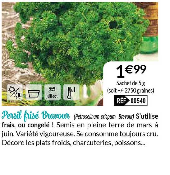 persil frisé bravour