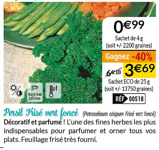 persil frisé vert foncé