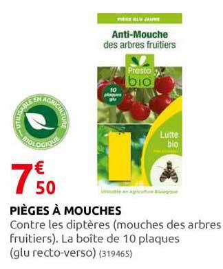 pièges à mouches