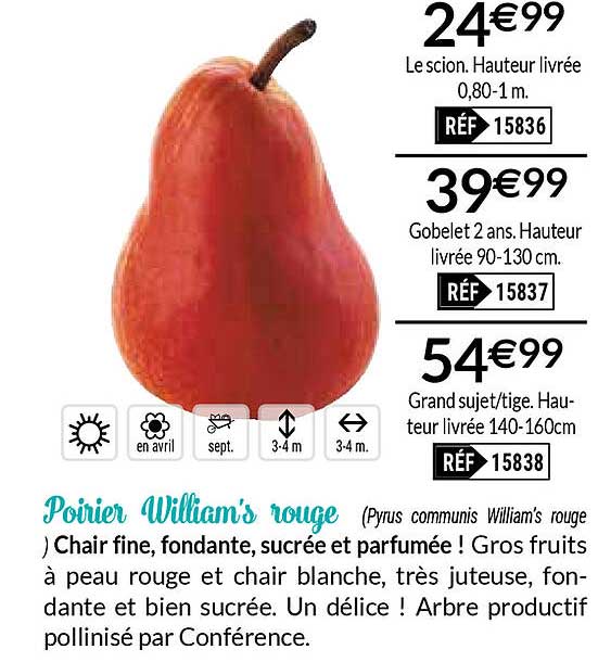 poirier william's rouge