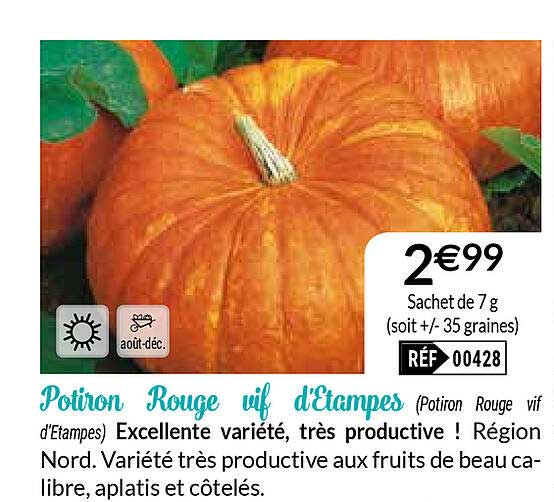 potiron rouge vif d'etampes