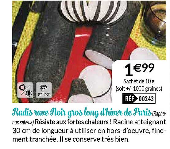 radis rave noir gros long d'hiver de paris