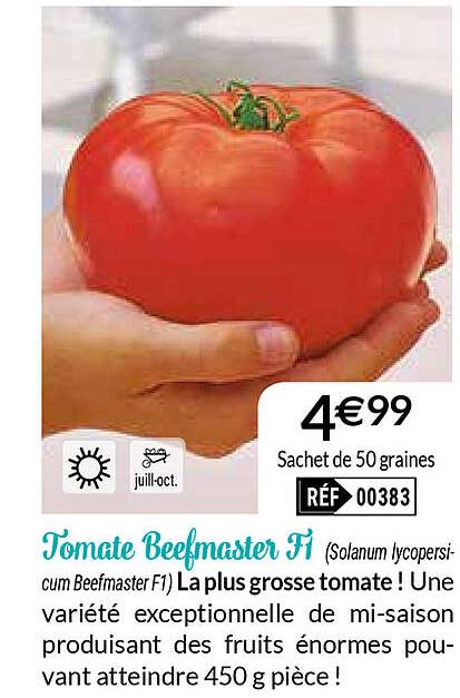 Tomate Beefmaster F1
