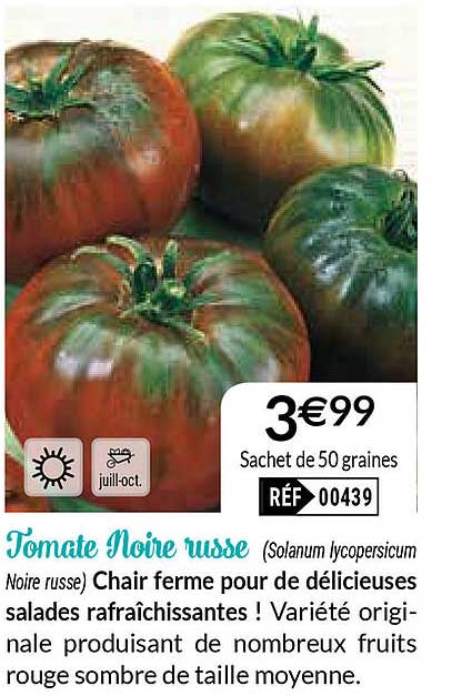 tomate noire russe