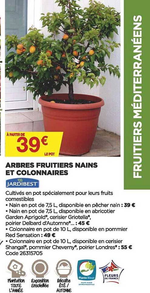 arbres fruitiers nains et colonnaires jardibest