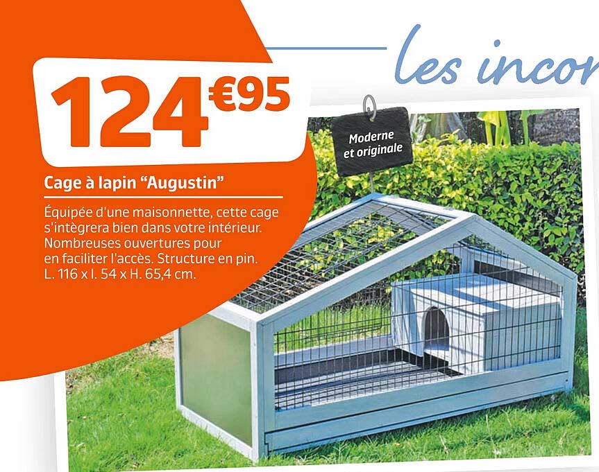Cage à Lapin "augustin"