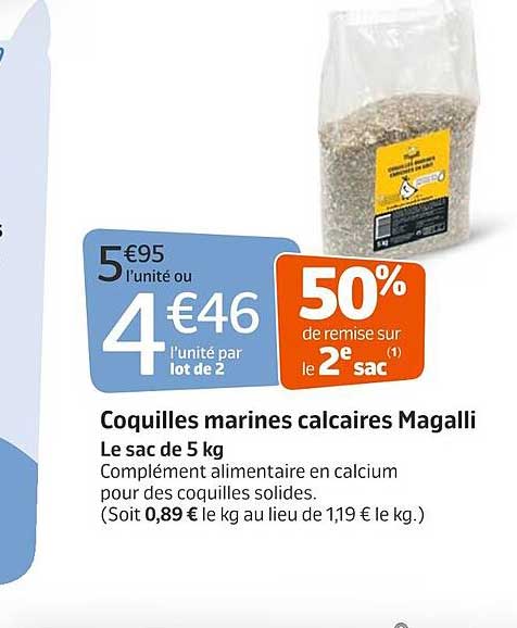 Coquilles Marines Calcaires Magalli
