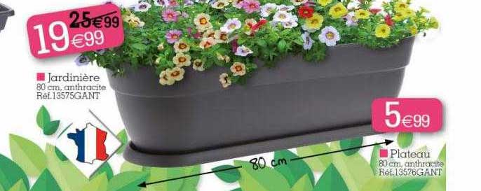 Jardinière, Plateau