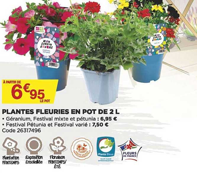 plantes fleuries en pot de 2 l