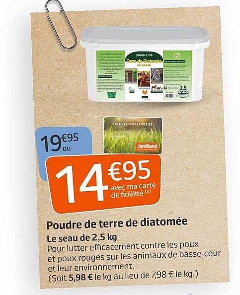 poudre de terre de diatomée