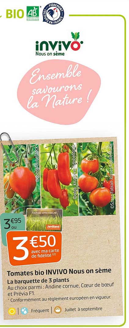 tomates bio invivo nous on sème