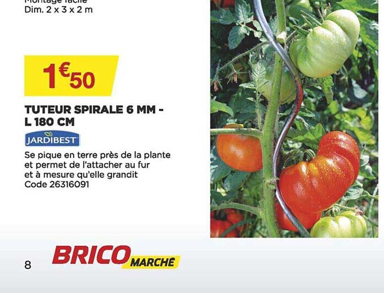 tuteur spirale 3 mm - l 180 cm jardibest