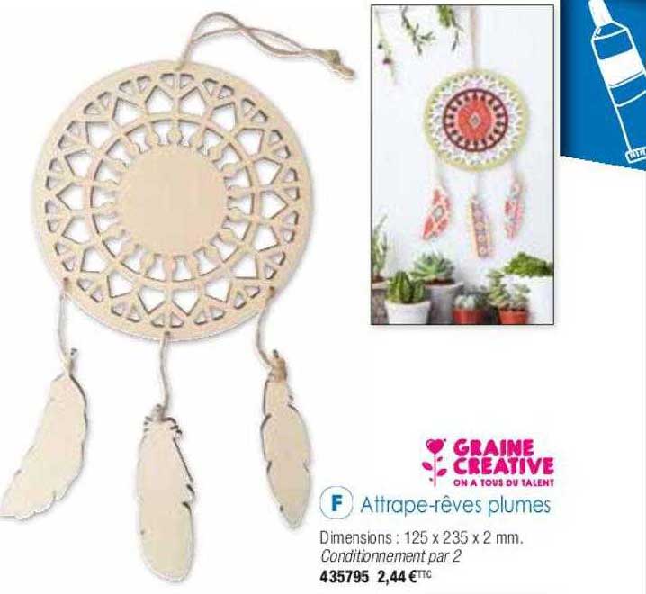 attrape-rêves plumes graine créative