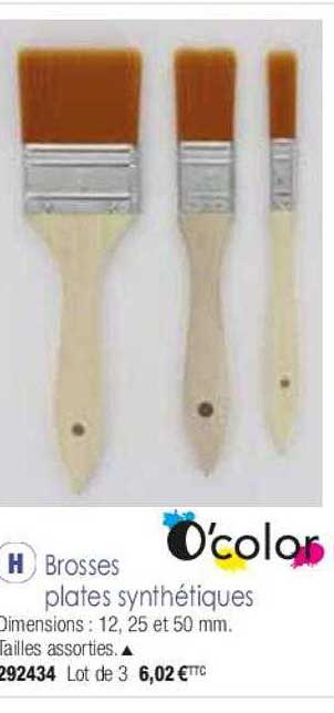 brosses plates synthétiques o'color
