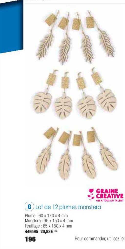 lot de 12 plumes monstera graine créative