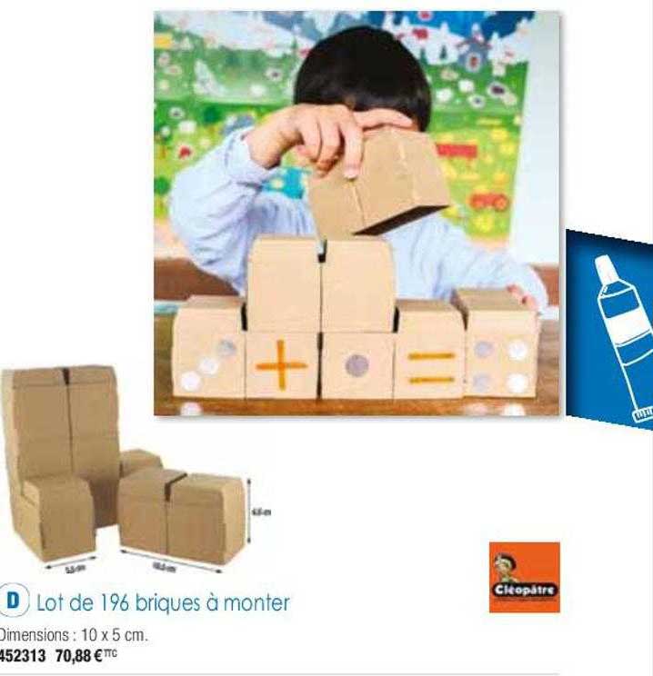 lot de 196 briques à monter cléopâtre