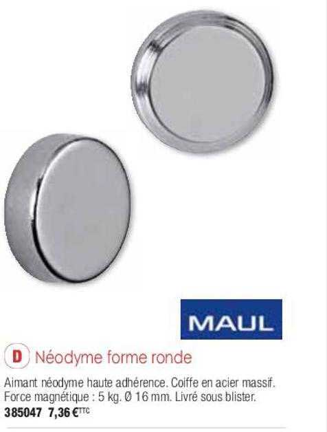 Néodyme Forme Ronde Maul