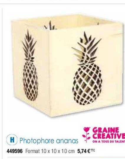 photophore ananas graine créative
