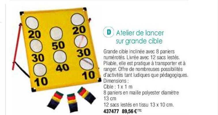 atelier de lancer sur grande cible