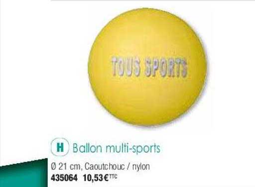 ballon multi-sports