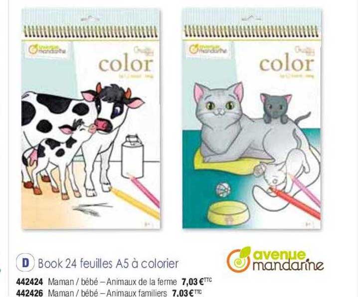 book 24 feuilles A5 à colorier avenue mandarine