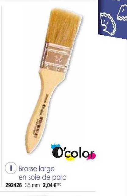 brosse large en soie de porc o'color