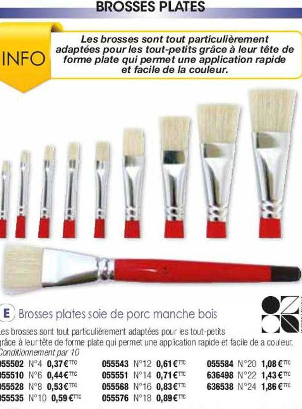 Brosses Plates Soie De Porc Manche Bois