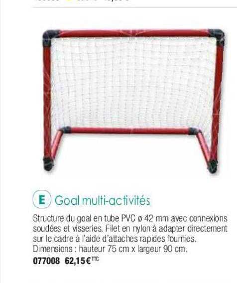 goal multi-activités
