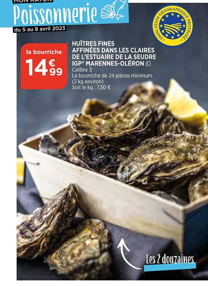 huîtres fines affinées dans les claires de l'estuaire de la seudre igp marennes-oléron