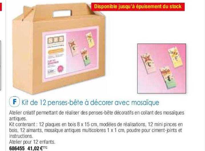 Kit De 12 Penses-bête à Décorer Avec Mosaïque
