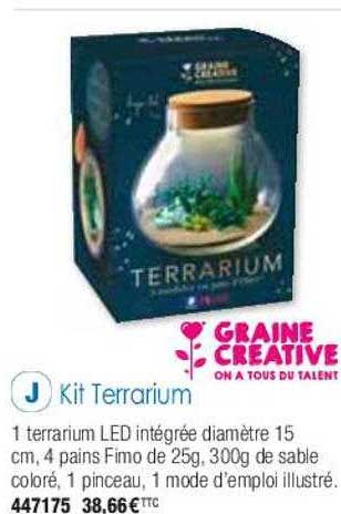 kit terrarium graine créative