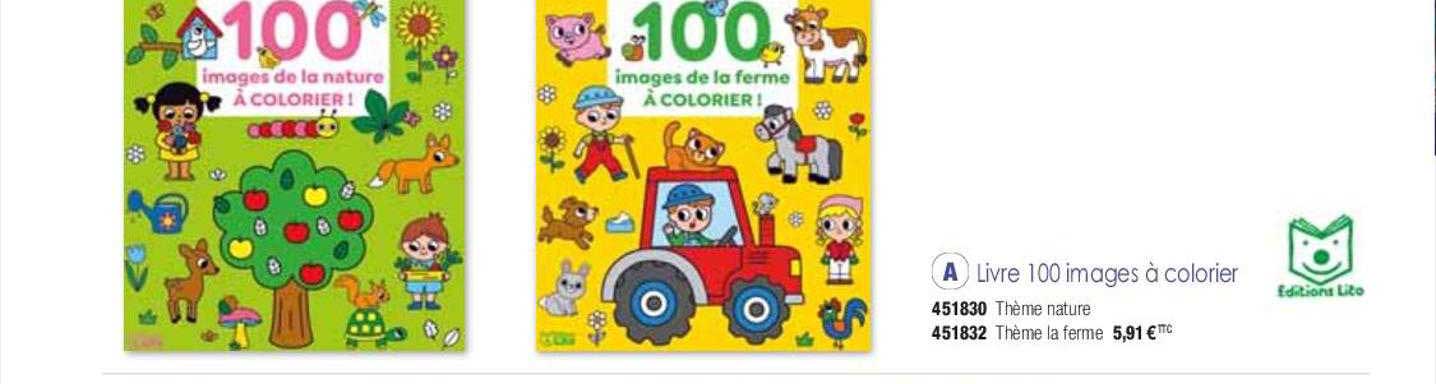 livre 100 images à colorier